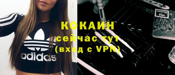 амф Новозыбков