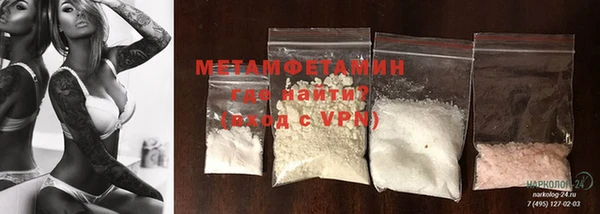 индика Нягань