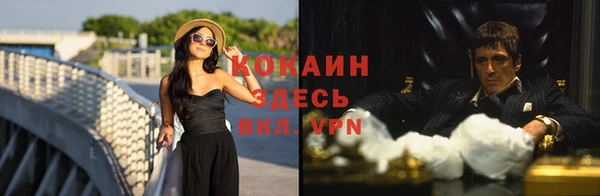 спайс Няндома