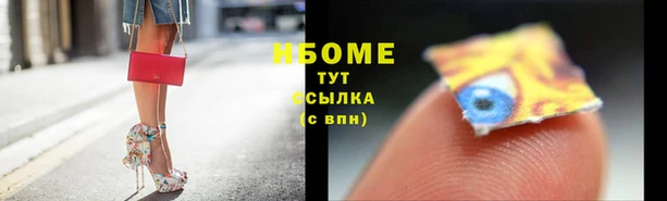 гидра Белая Холуница