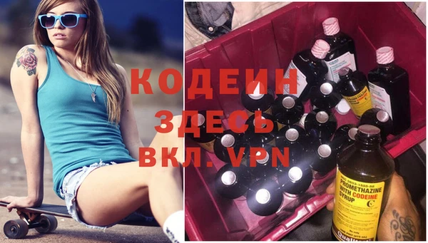 индика Нягань