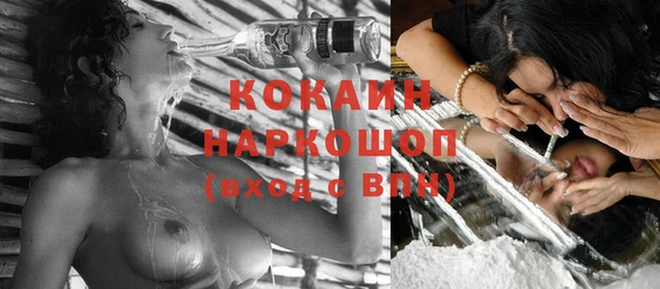 индика Нягань