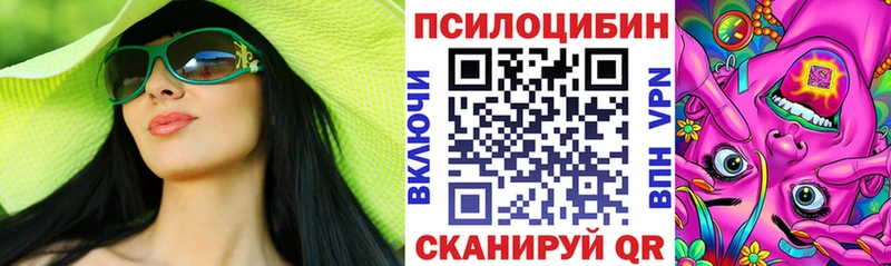 Псилоцибиновые грибы Cubensis  Кондрово 